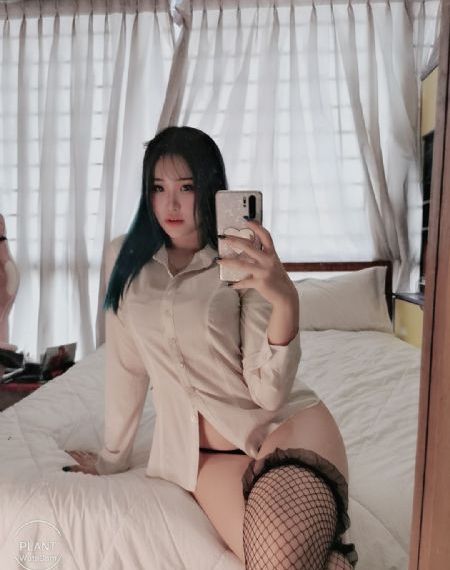 美人鱼的夏天